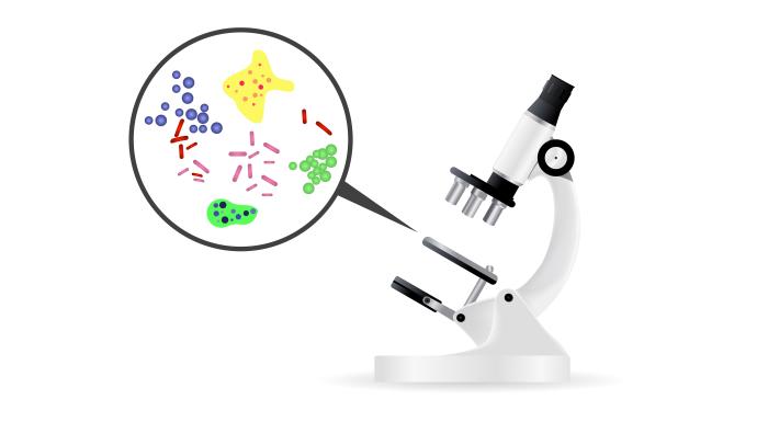 analyses-microbiologiques-charcuterie