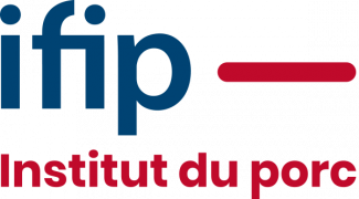 IFIP